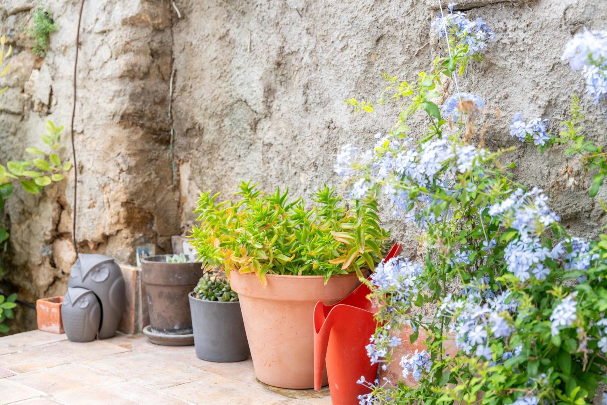 La Maison D'a Cote Holiday home